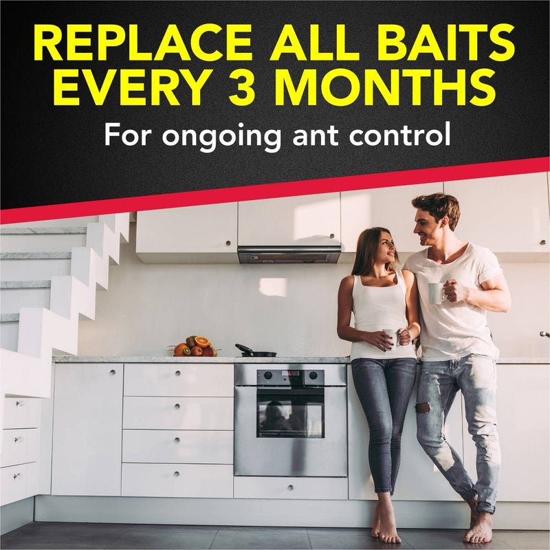 Raid Ant Baits - 0.12oz/4ct