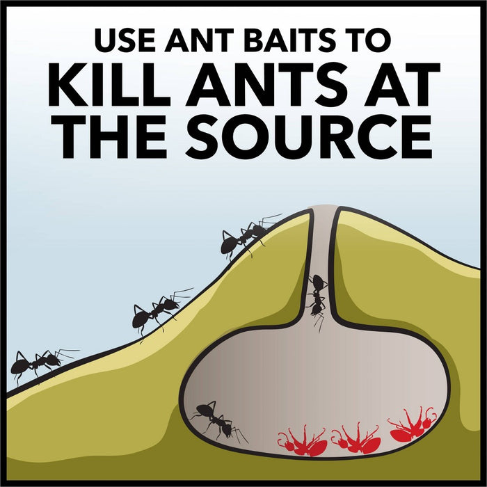Raid Ant Baits - 0.12oz/4ct