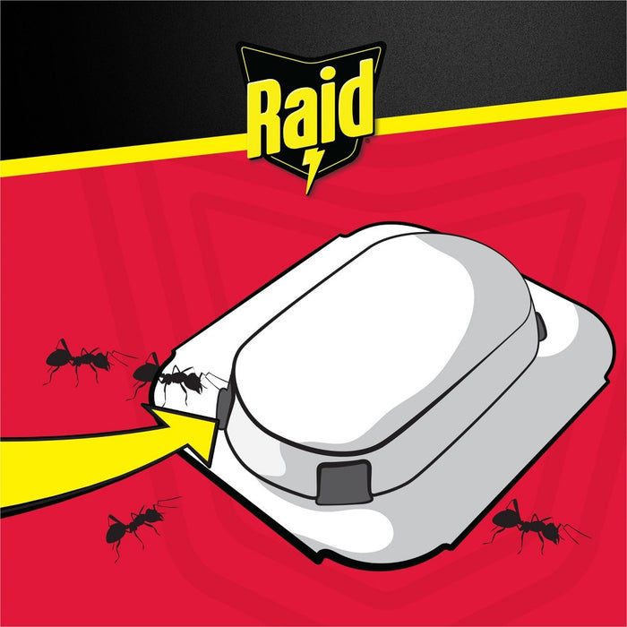 Raid Ant Baits - 0.12oz/4ct