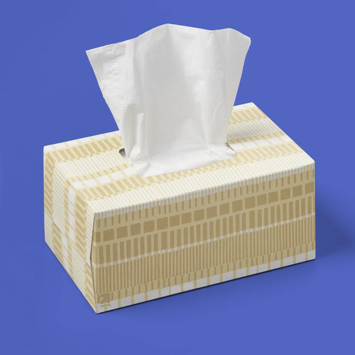 Everyday Facial Tissue - 160ct - up&up