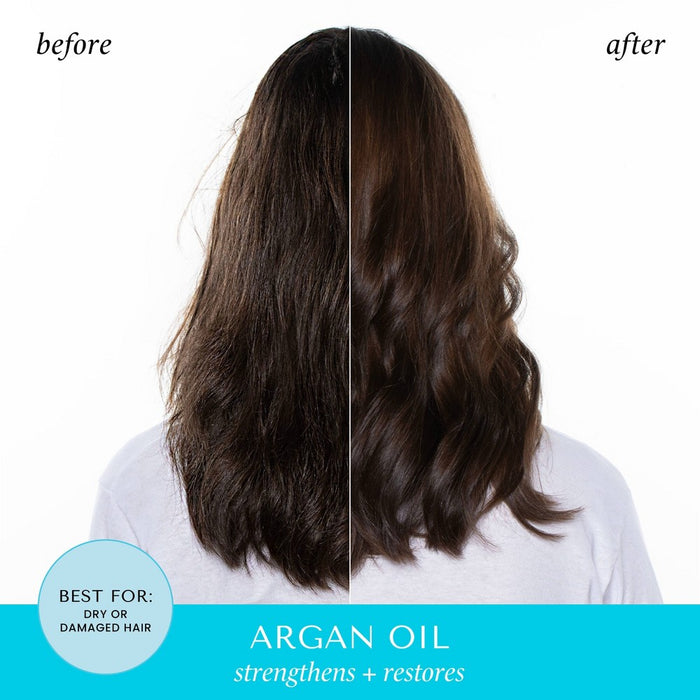 Hask Argan Oil Conditions & Detangles Leave-In Spray - 6 fl oz