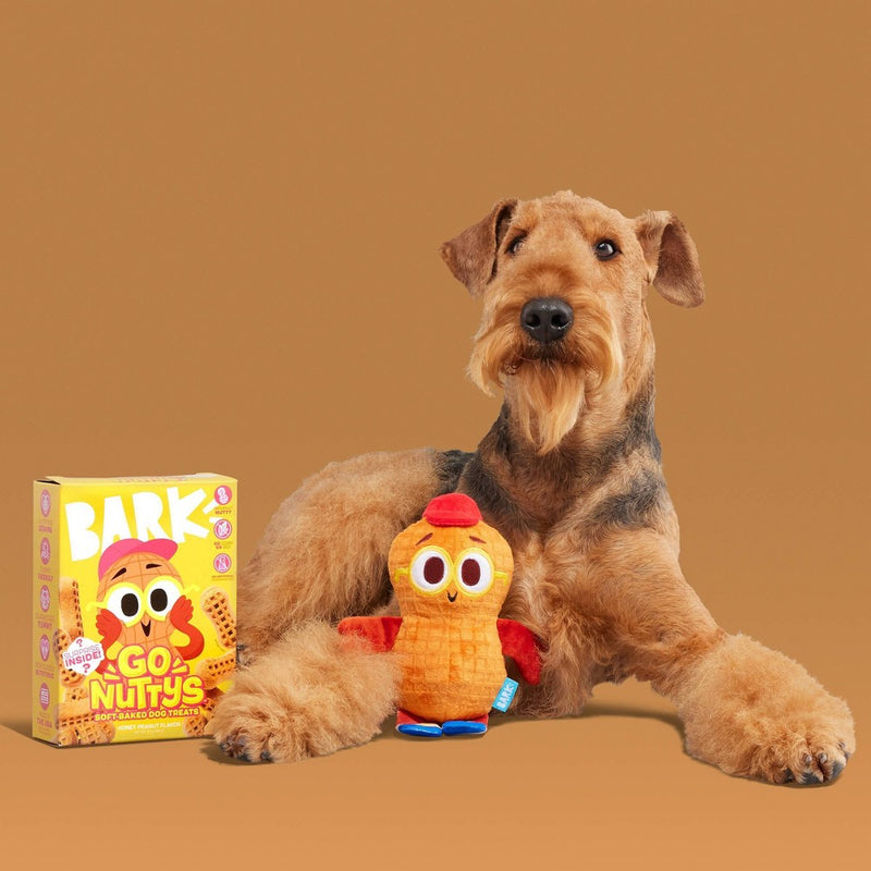 BARK Snack Pack Goober B.Nutty Dog Plush Toy