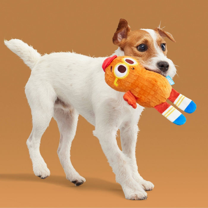 BARK Snack Pack Goober B.Nutty Dog Plush Toy