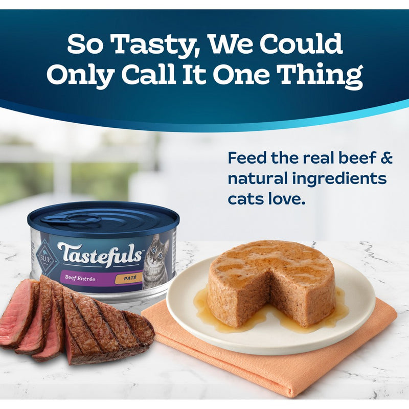 Blue Buffalo Tastefuls Natural Pate Wet Cat Food with Beef Entree - 5.5oz