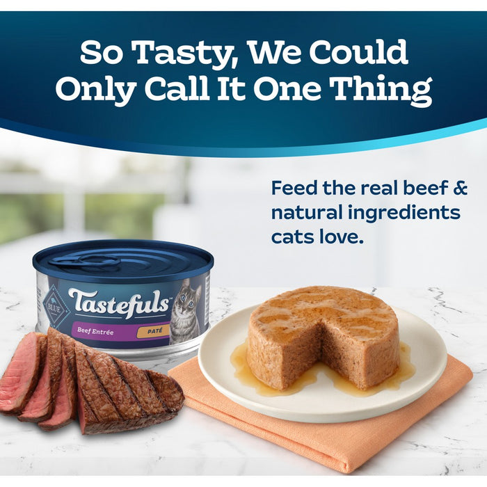 Blue Buffalo Tastefuls Natural Pate Wet Cat Food with Beef Entree - 5.5oz