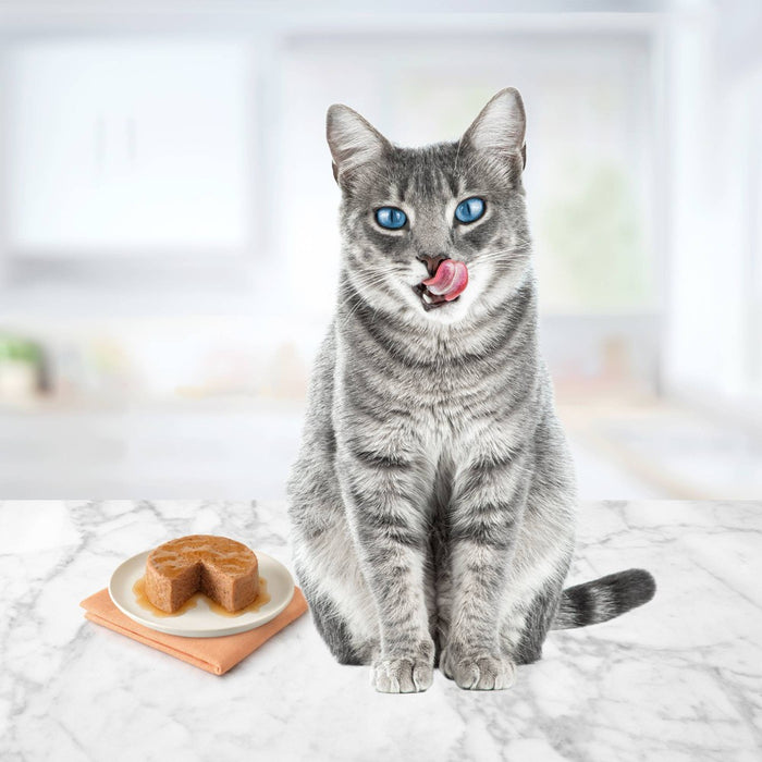 Blue Buffalo Tastefuls Natural Pate Wet Cat Food with Beef Entree - 5.5oz