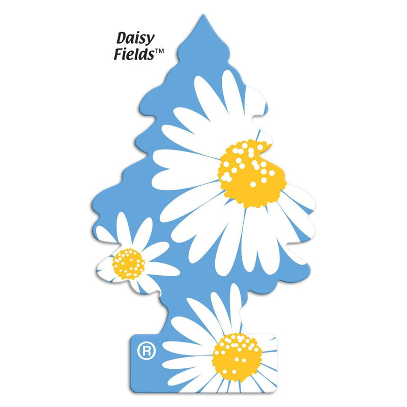 Little Trees Daisy Fields Air Freshener 3pk
