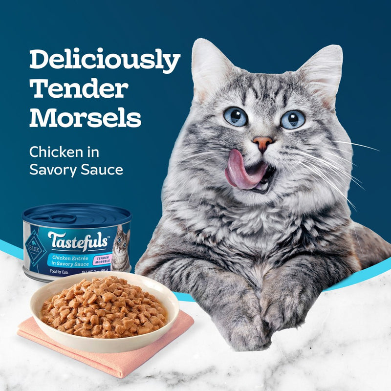 Blue Buffalo Tastefuls Natural Tender Morsels Wet Cat Food with Chicken Entree - 3oz