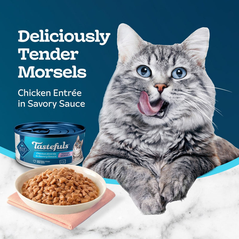 Blue Buffalo Tastefuls Natural Tender Morsels Wet Cat Food with Chicken Entree - 3oz