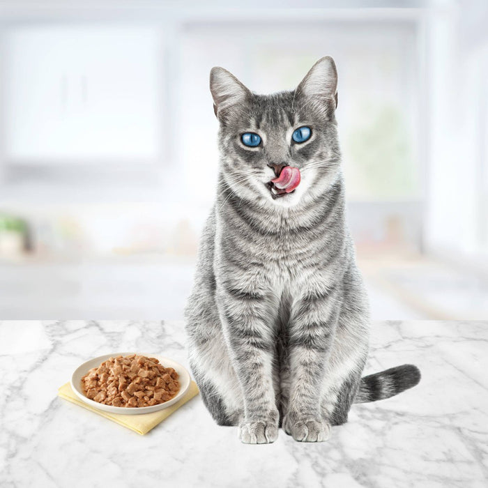 Blue Buffalo Tastefuls Natural Flaked Wet Cat Food with Tuna Entree in Gravy - 3oz