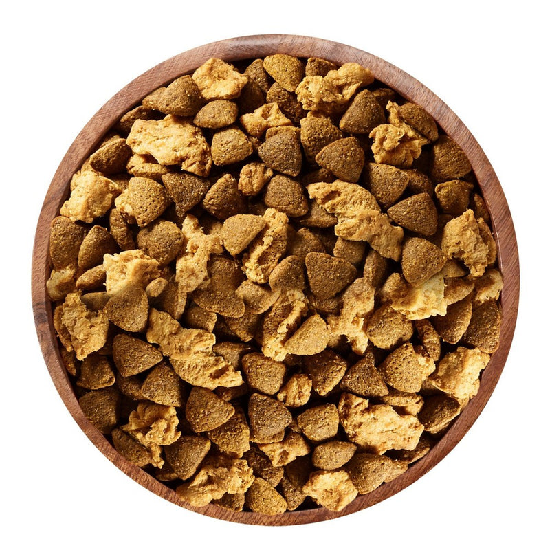 Purina ONE SmartBlend True Instinct Natural Real Salmon & Fish Flavor Dry Dog Food - 7.4lbs