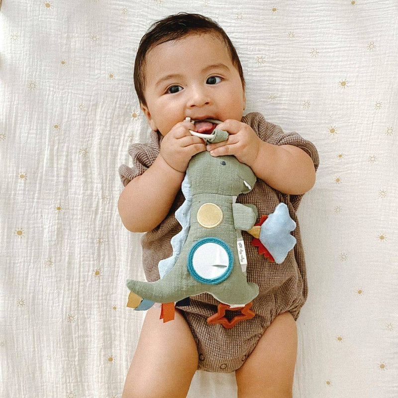 Itzy Ritzy Traveller Learning Toy - Dino