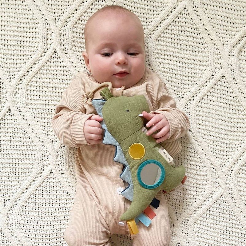 Itzy Ritzy Traveller Learning Toy - Dino