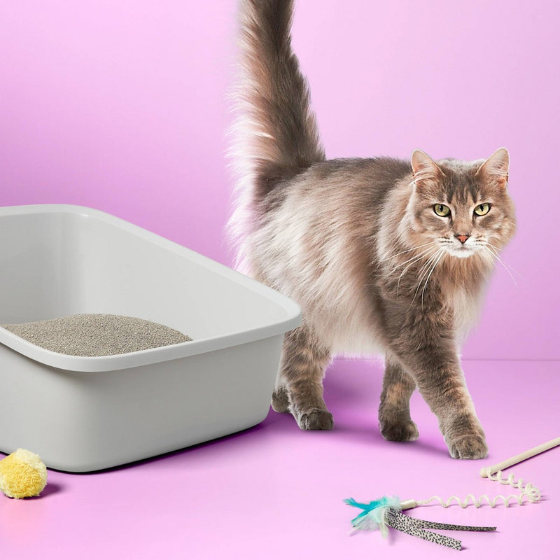 Standard Waste Cat Pan - Gray - XL - up&up