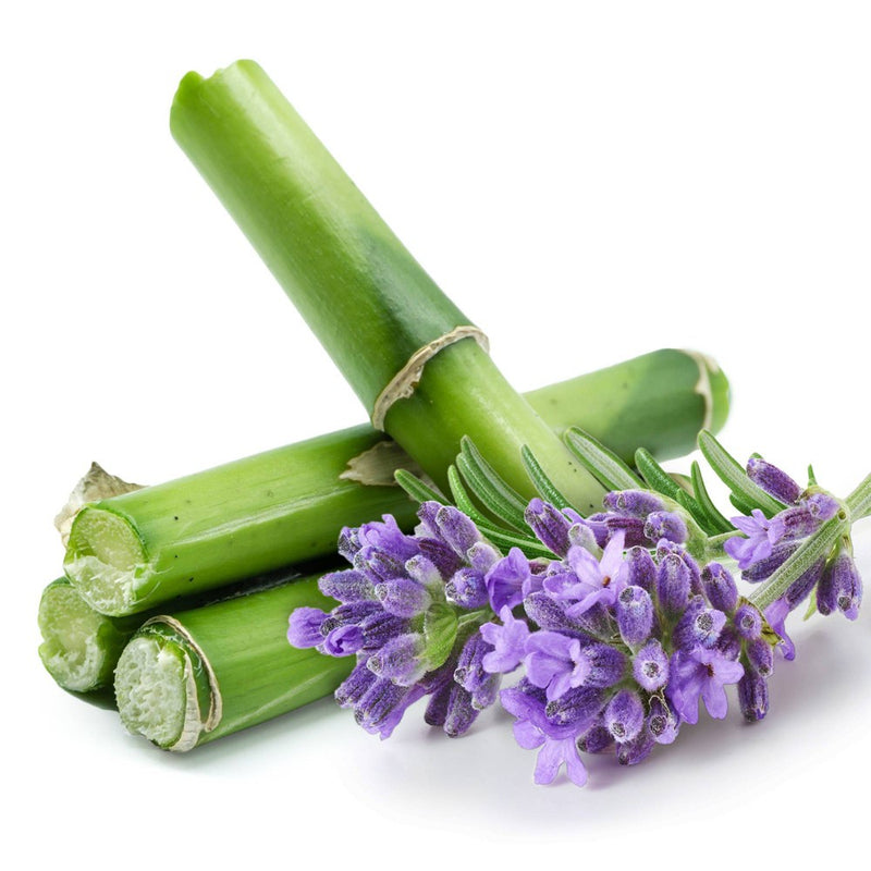 Naturally Fresh Harmony Lavender & Bamboo Clumping Cat Litter - 14lbs