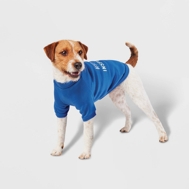 Blue Hydrant Inspector Dog Sweatshirt - XS - Boots & Barkley