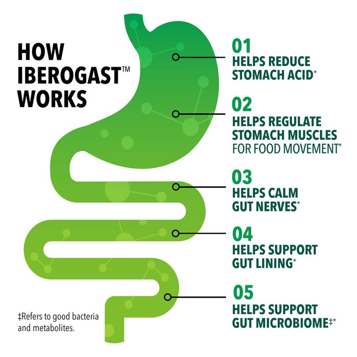 Iberogast Dual Action Digestive Relief Daily Herbal Supplements - 50ml