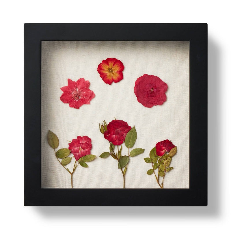 MDF Shadow Box Frame Unfinished Craft Kit 8"x8" Black - Mondo Llama