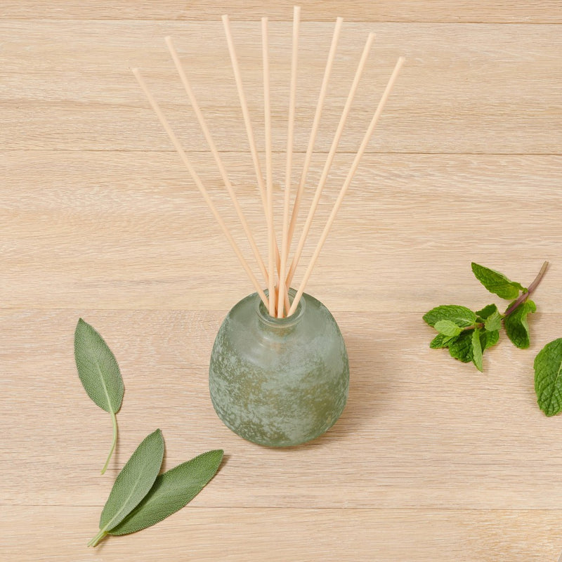 6.7 fl oz Serenity Oil Diffuser - Casaluna: Aromatherapy, Peppermint, Sage, Basil Scents