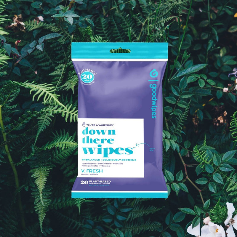 Goodwipes V Fresh Flushable Wipes - 20ct