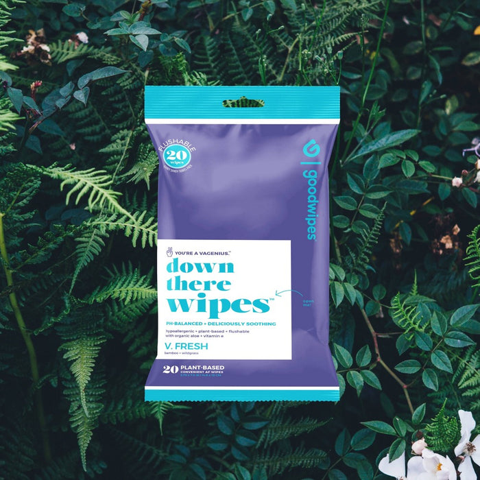Goodwipes V Fresh Flushable Wipes - 20ct