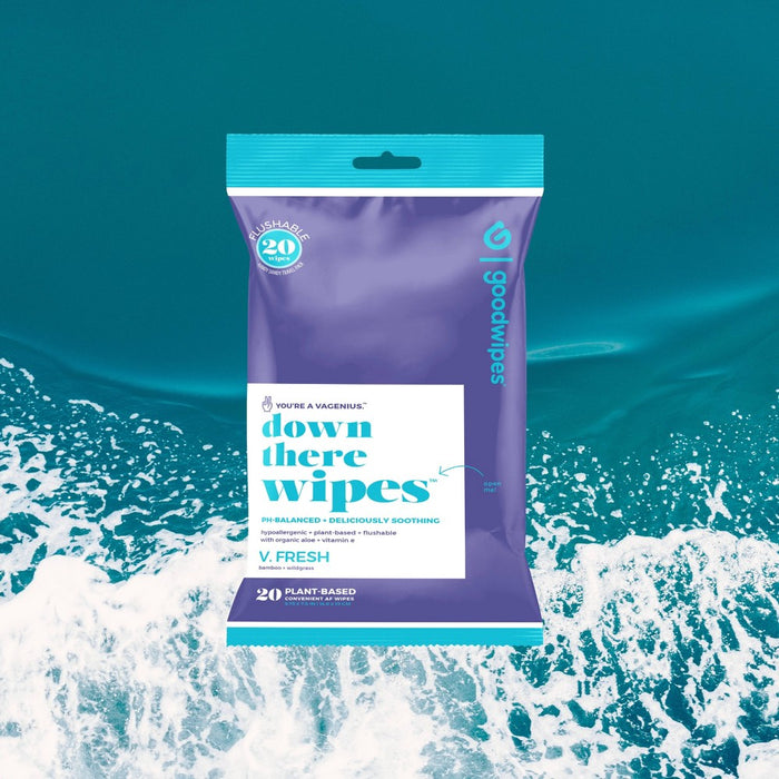 Goodwipes V Fresh Flushable Wipes - 20ct
