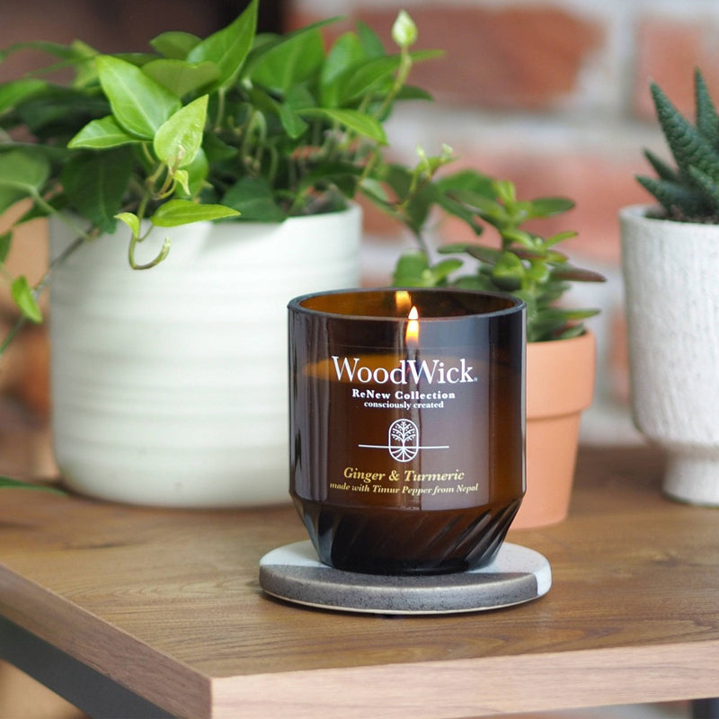ReNew Medium 6oz Ginger and Turmeric Candle - WoodWick