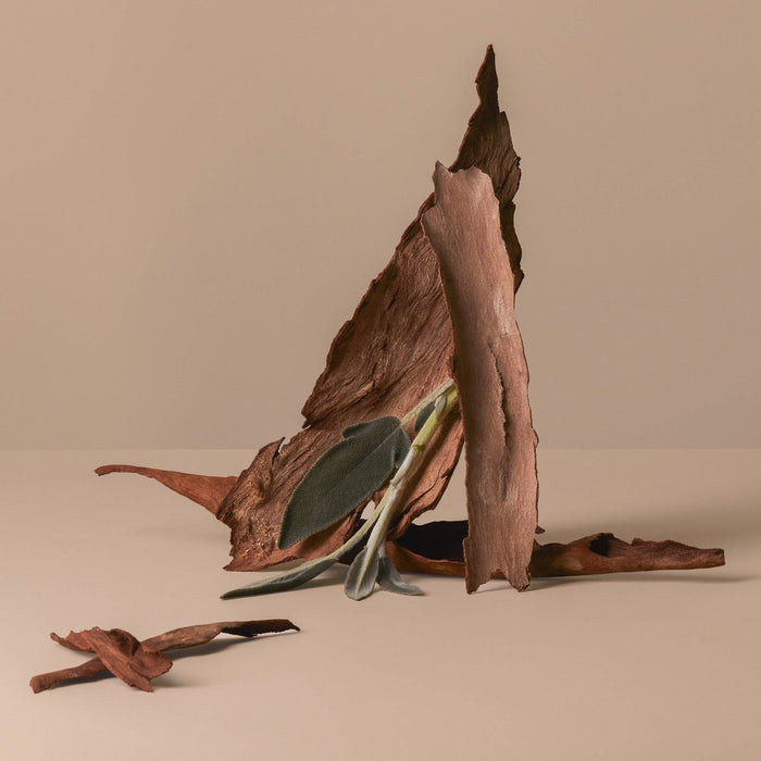 Being Frenshe Renewing Body Wash - Palo Santo Sage - 14 fl oz