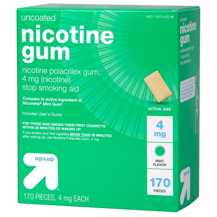 Nicotine 4mg Gum Stop Smoking Aid - Mint Flavor - 170ct - up&up