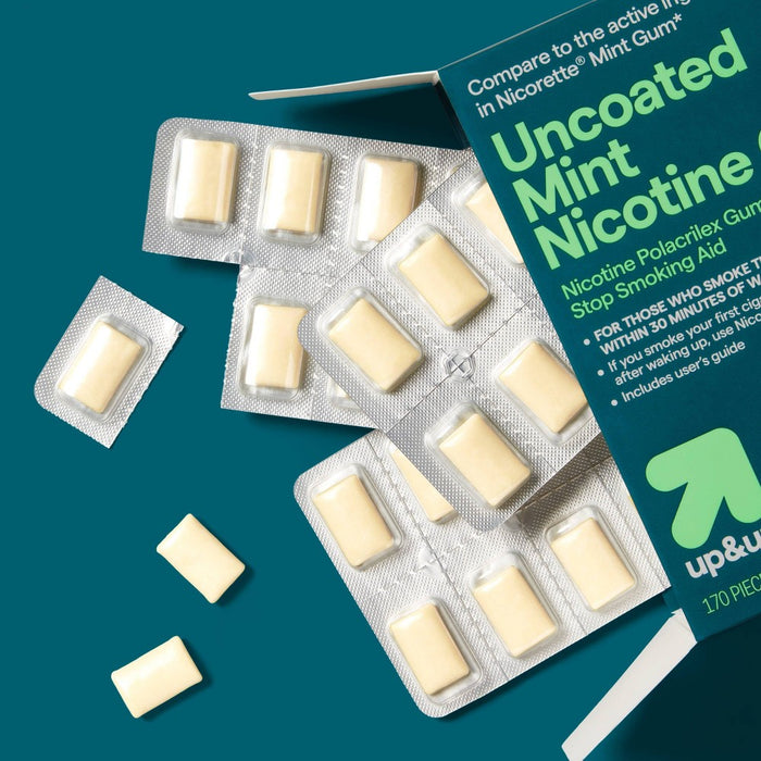 Nicotine 4mg Gum Stop Smoking Aid - Mint Flavor - 170ct - up&up