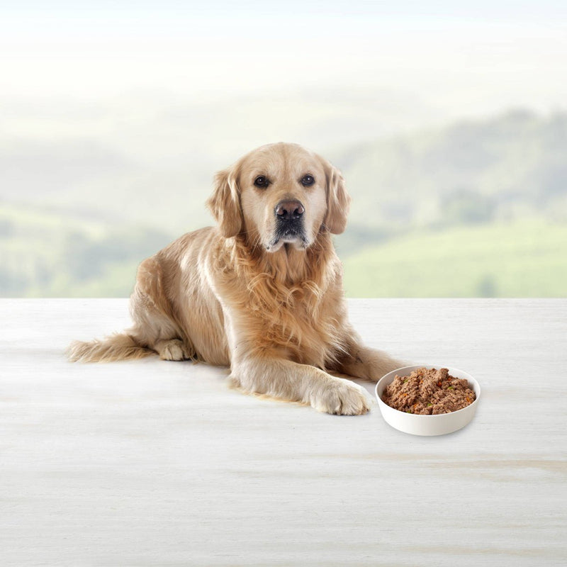 Blue Buffalo Homestyle Recipe Natural Senior Wet Dog Food with Chicken - 12.5oz