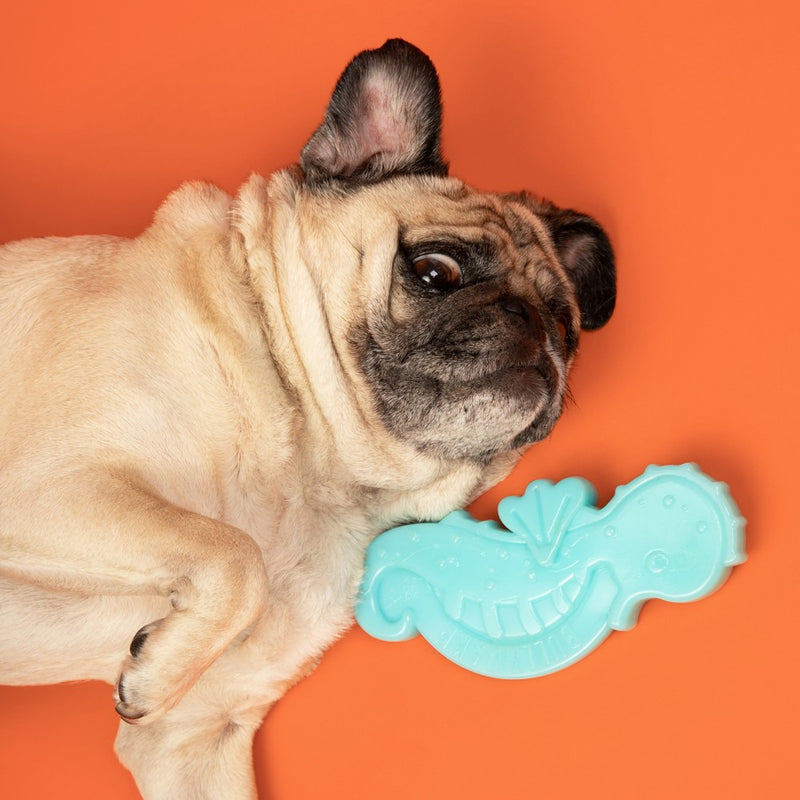 Bullymake Teal Seahorse with Peanut Butter Flavor Tough Chew Dog Toy