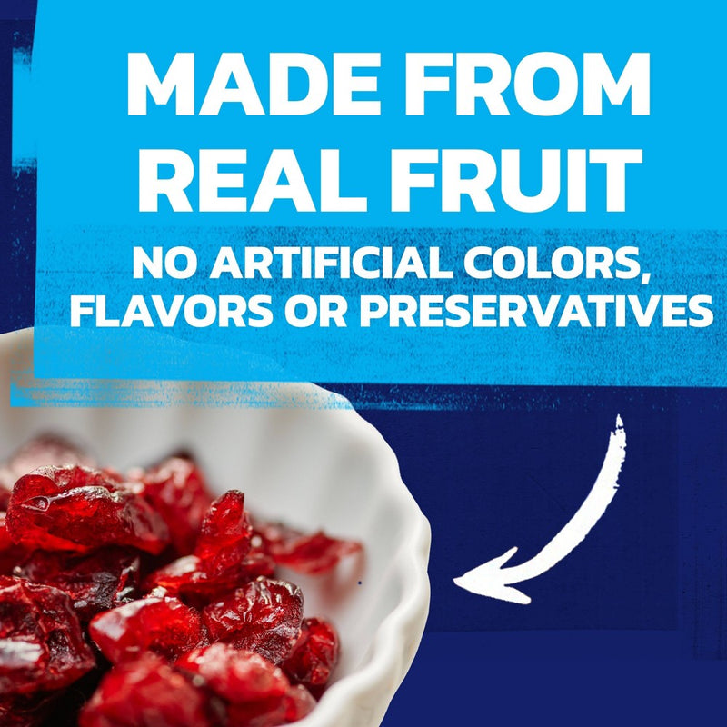 Ocean Spray Dried Cranberries Value Pack - 24oz