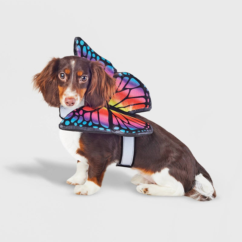 Halloween Butterfly Wings Cat & Dog Costume - Hyde & EEK! Boutique XXS/XS