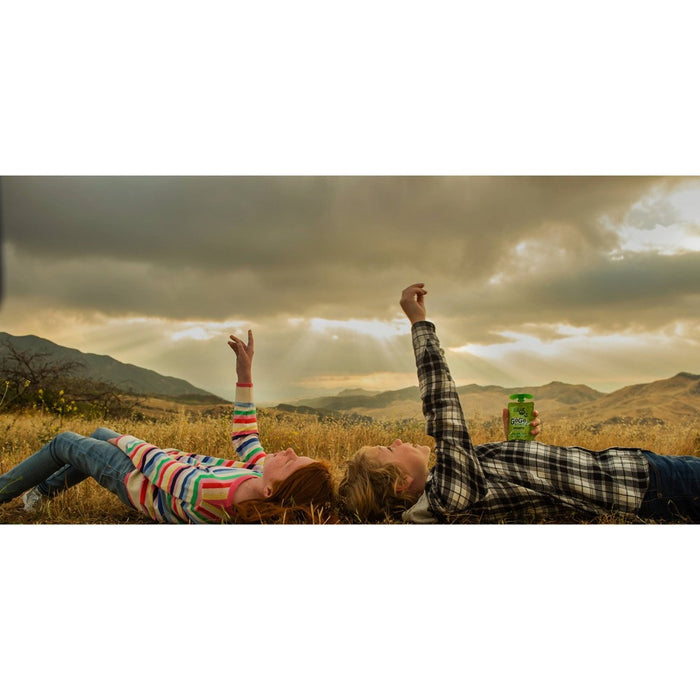 Gogo Squeez Applesauce On The Go Pouch - 3.2oz