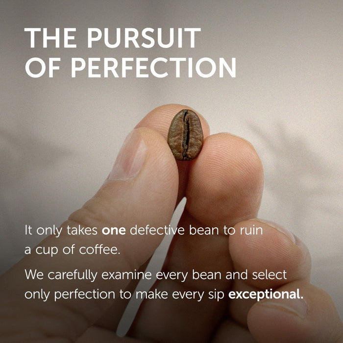 Illy Classico Medium Roast Ground Drip Coffee - 8.8oz