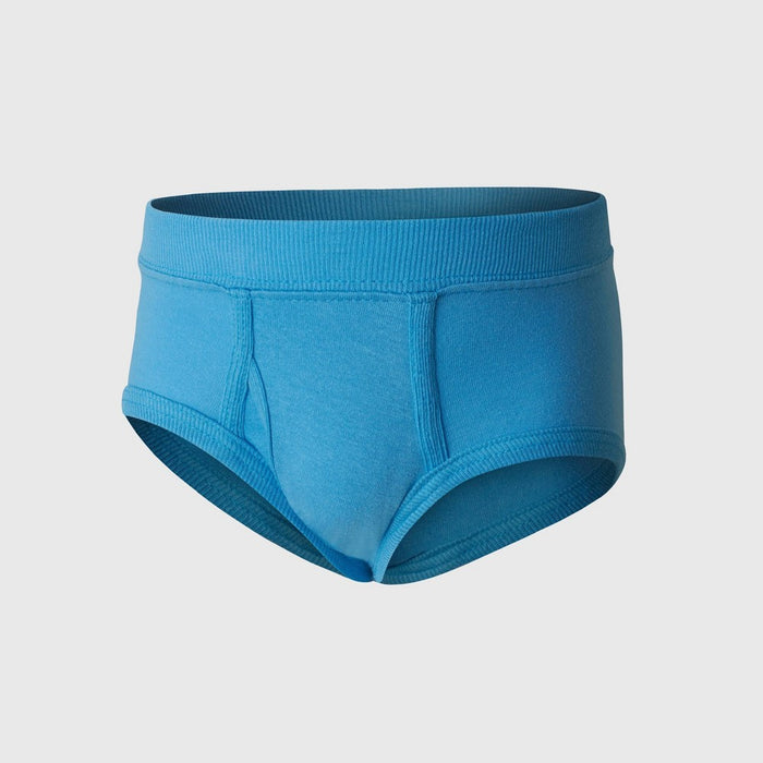 Hanes Toddler Boys' 10pk Pure Comfort Briefs - Colors May Vary 4T