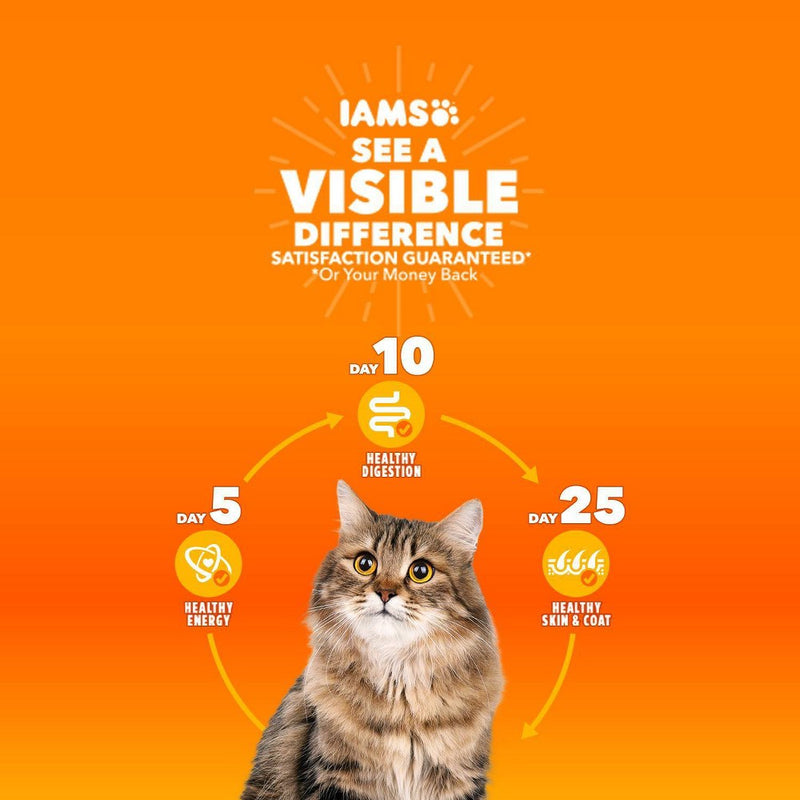 IAMS Proactive Health Urinary Tract Health with Chicken Adult Premium Dry Cat Food - 7lbs