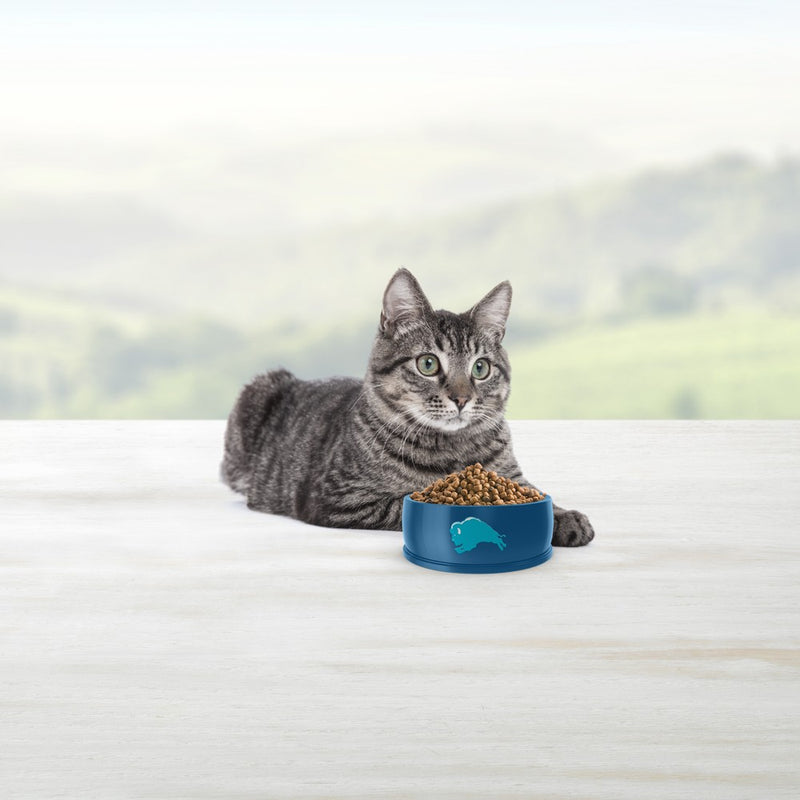 Blue Buffalo Tastefuls Sensitive Stomach Natural Adult Dry Cat Food with Chicken - 10lbs
