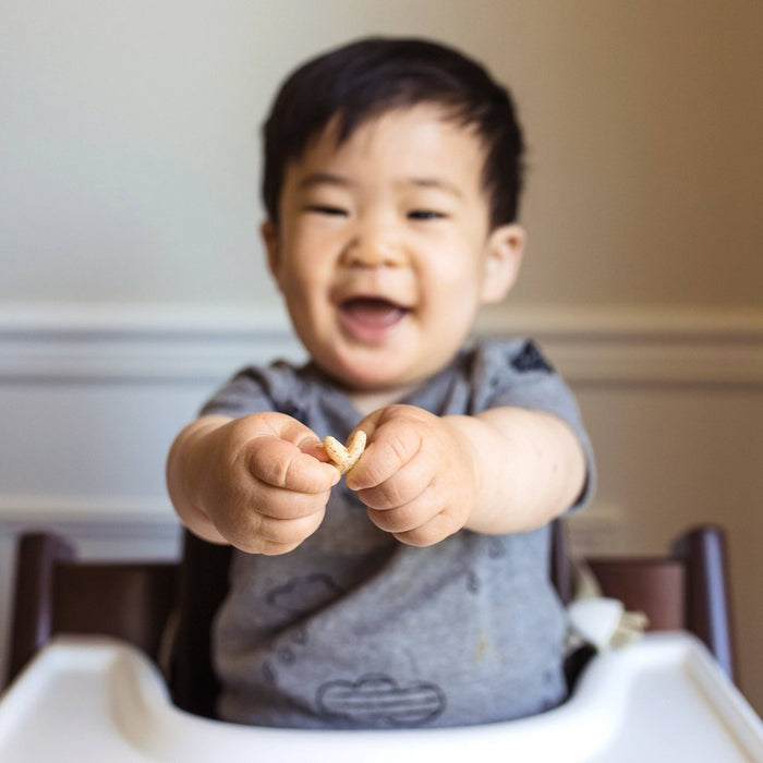 HappyBaby Spinach Carrot Baby Snacks - 1.5oz