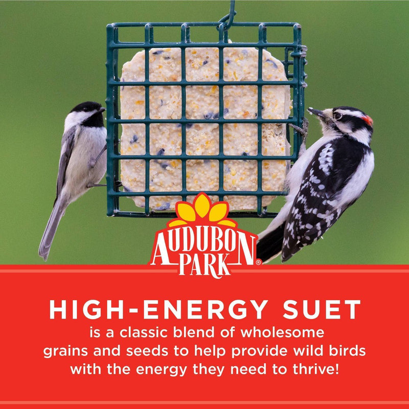 Audubon Park 11oz High Energy Suet Wild Bird Food