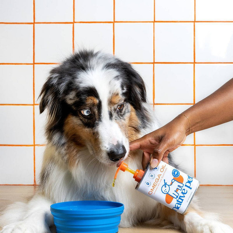 Native Pet Pump Bottle Omega Oil with Fish for Dogs - 8oz