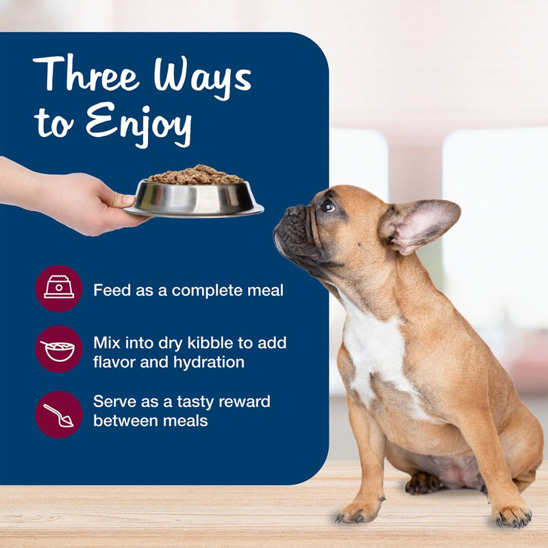 Blue Buffalo Blue's Stew Natural Adult Wet Dog Food Hearty Beef Stew - 12.5oz