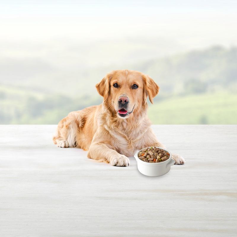 Blue Buffalo Blue's Stew Natural Adult Wet Dog Food Hearty Beef Stew - 12.5oz