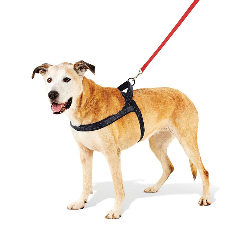 No Pull Comfort Dog Harness - XL - Boots & Barkley
