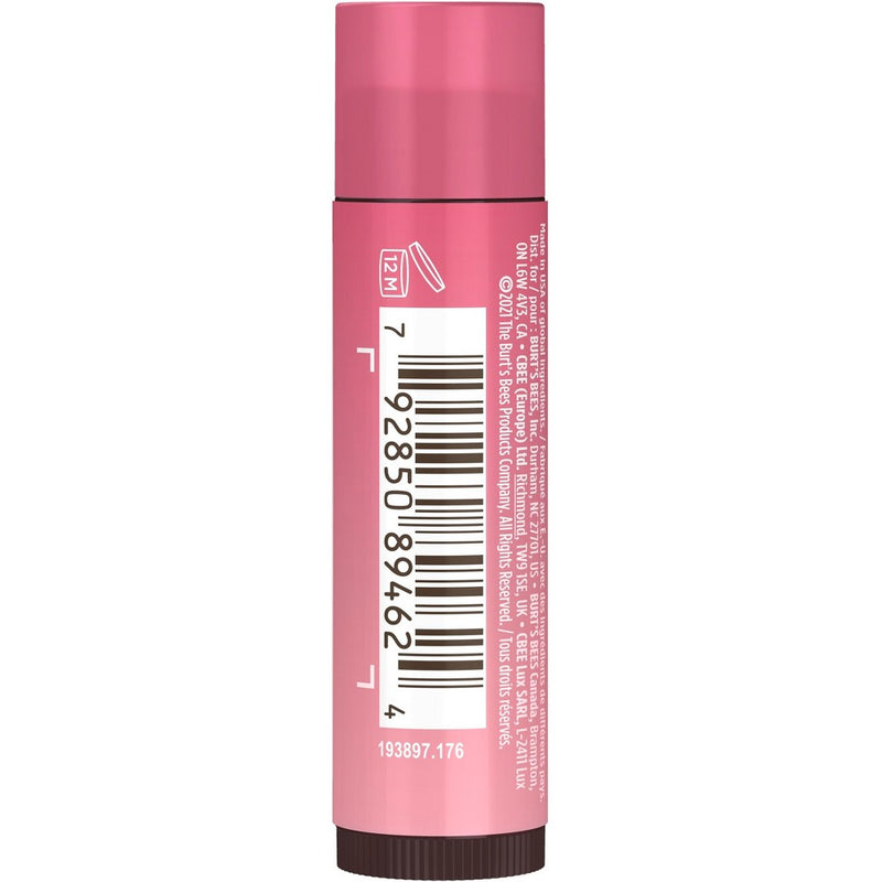 Burt's Bees Tinted Lip Balm Hibiscus - 0.15oz