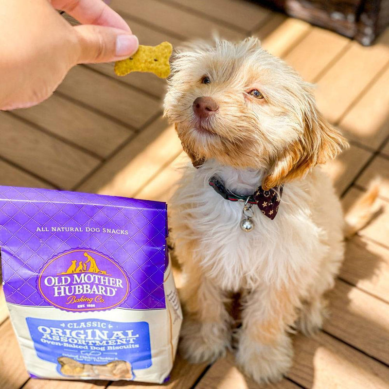 Old Mother Hubbard Classic Crunchy Extra Original Assortment Biscuits Mini Oven Baked Dog Treats - 13oz