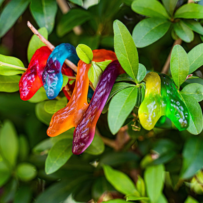 Haribo Twin Snakes - 8.3oz