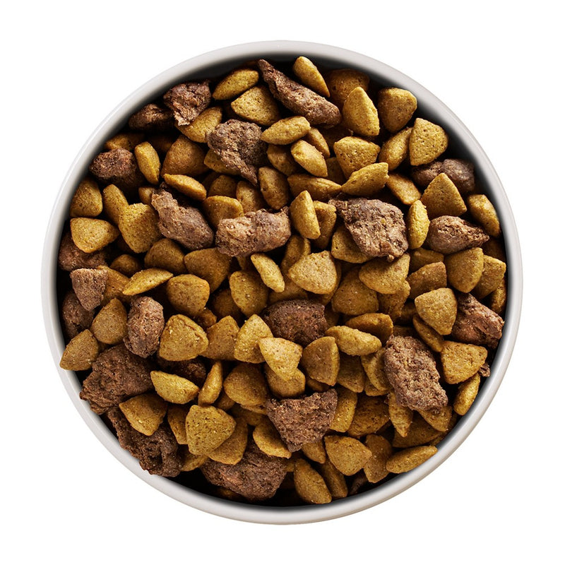 Purina ONE SmartBlend Small Breed Natural Lamb Flavor Dry Dog Food - 7.4lbs
