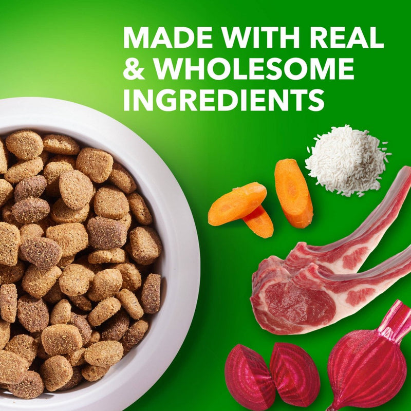 IAMS Proactive Health Lamb & Rice Recipe Large Breed Adult Dry Dog Food - 15lbs (LOCAL PICKUP ONLY)